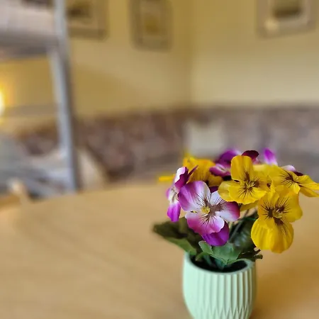 Apartman Great Time By Fis - Fun In Styria Bad Mitterndorf